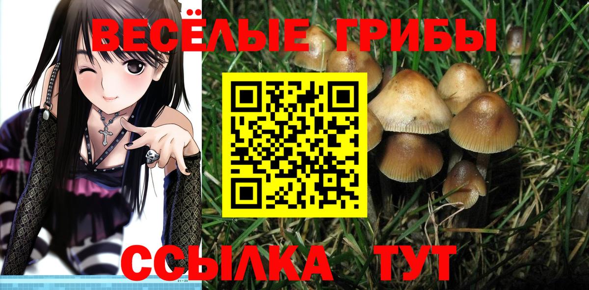 МАРИХУАНА  ГАШ  Конопля  Кокаин  Вход с VPN  Купить наркотик  Воронеж  Меф  
